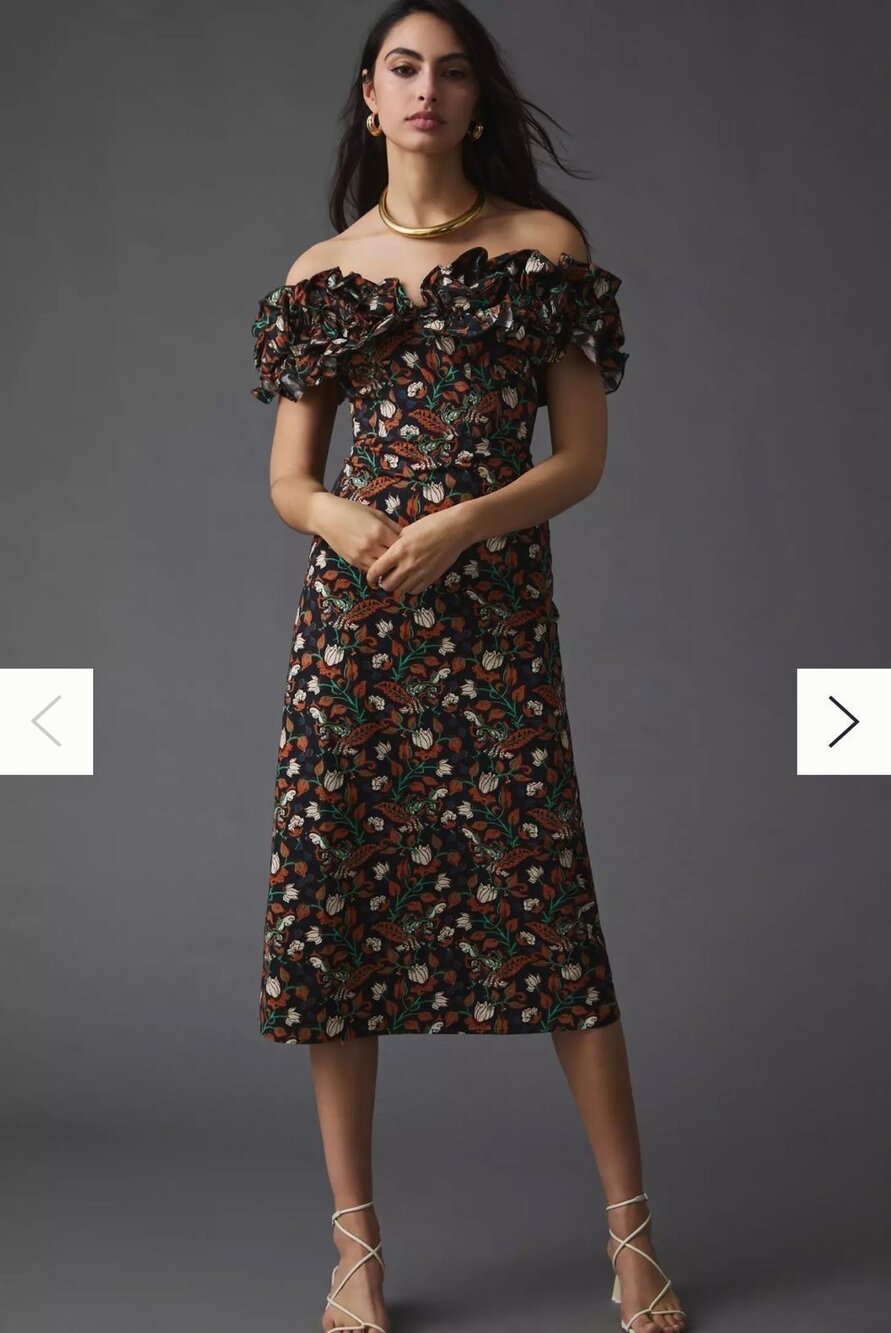 NWT❤️Anthro Let Me Be Floral Appliqué Dress szS